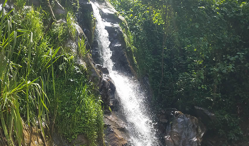 Gishwati Mukura National Park in Rwanda