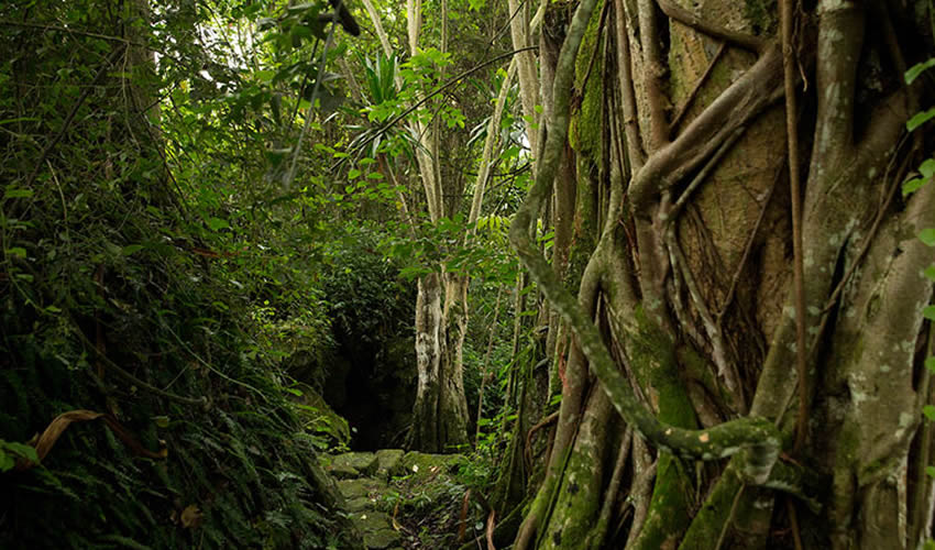 Buhanga Eco Park in Rwanda