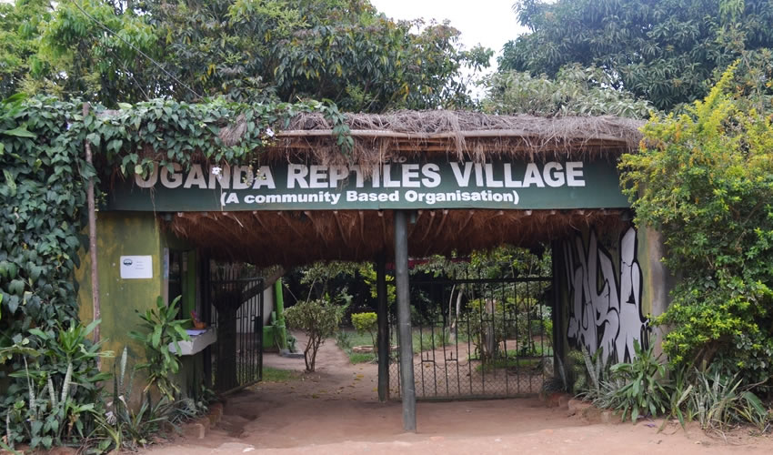 What to do around Entebbe Town