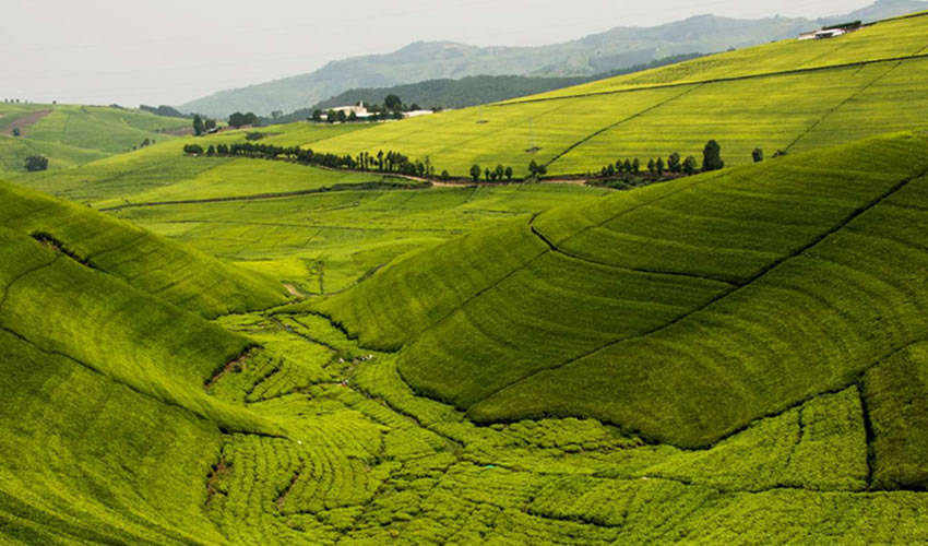 5 Reasons Why You Should Visit Rwanda in 2022