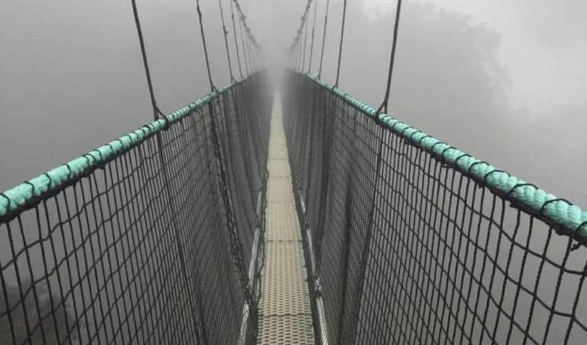 Nyungwe Canopy Walk Experience